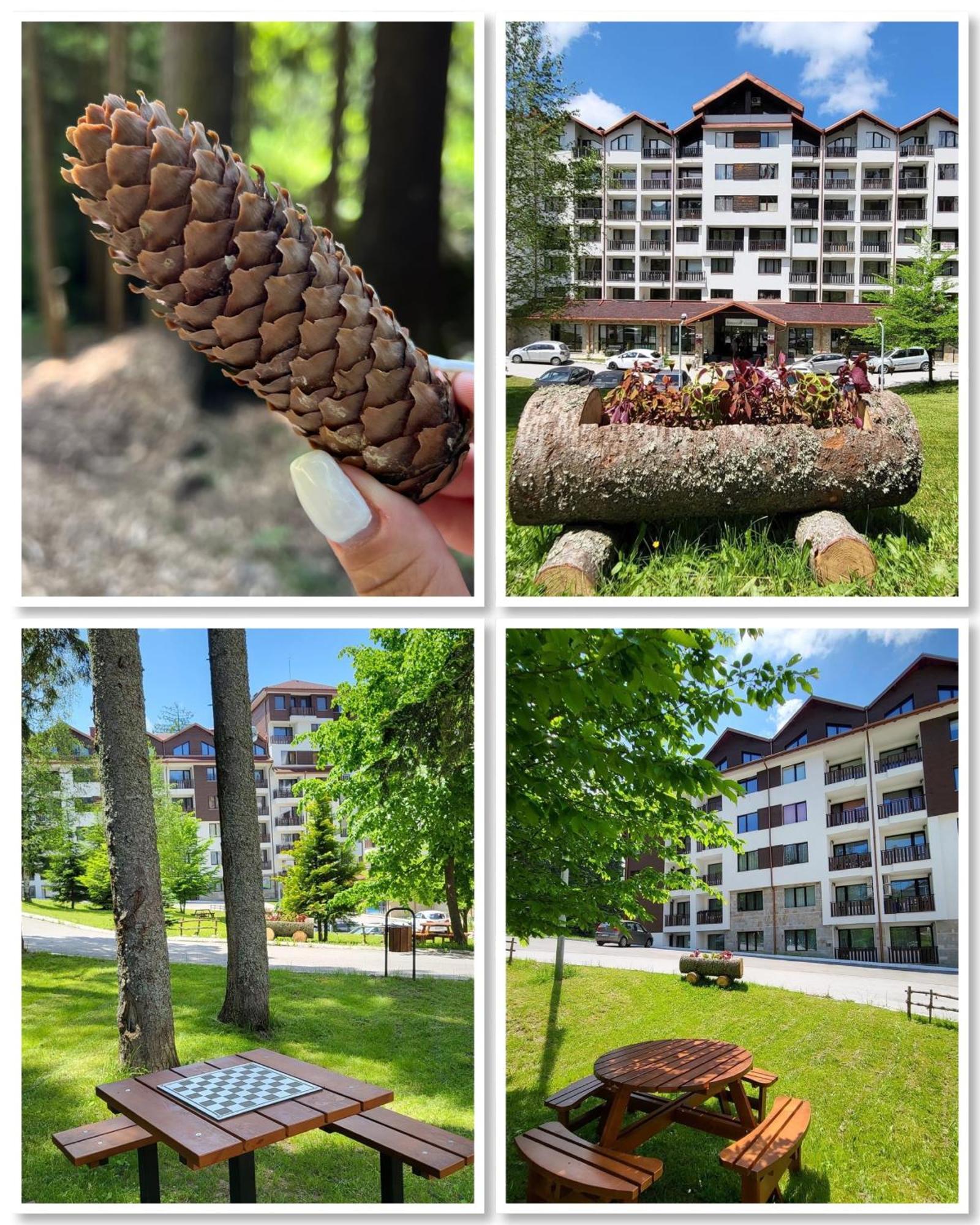 The Green Apartment Borovets Eksteriør billede
